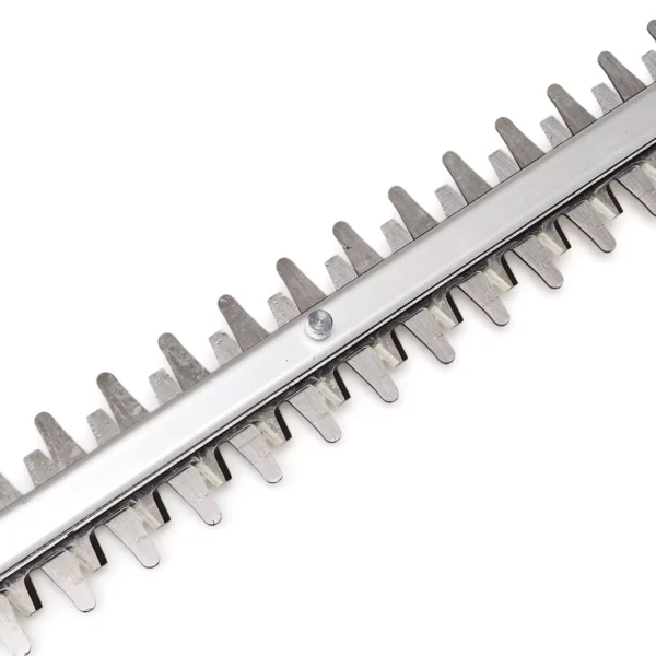 CORTA CERCO INAL?MBRICO GE-CH 1855/1 Li Kit (1x2,5 Ah) EXPERT
