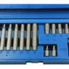 RU24001 2 JGO PUNTAS ALLEN 15 PC.ENC.1/2" TW. (caja azul)